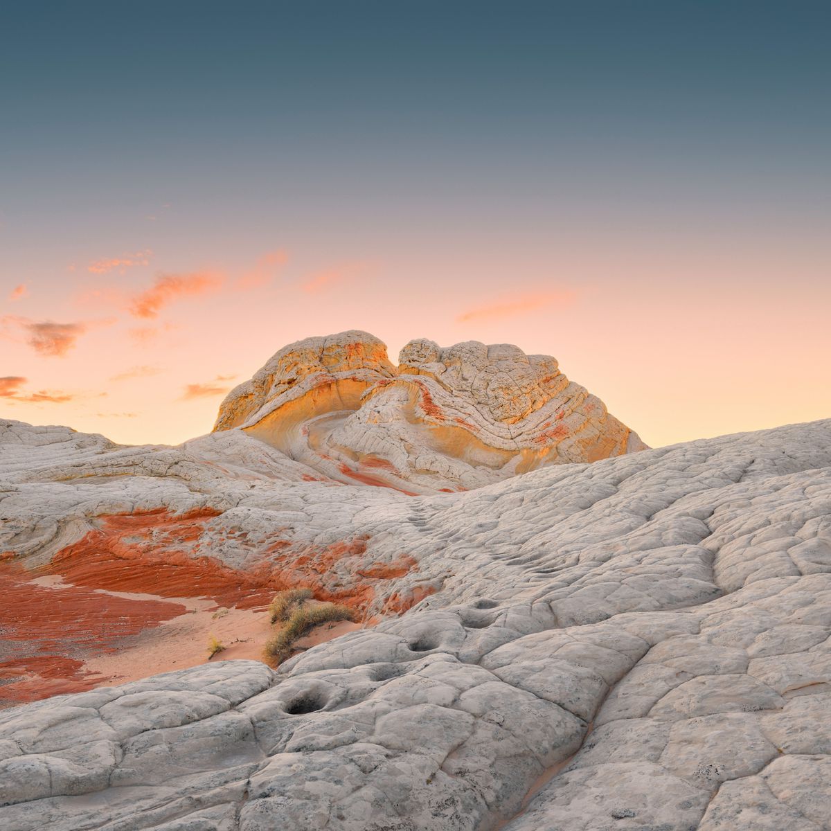 Dynamic Wallpaper Gallery - Dynamic Wallpaper Club