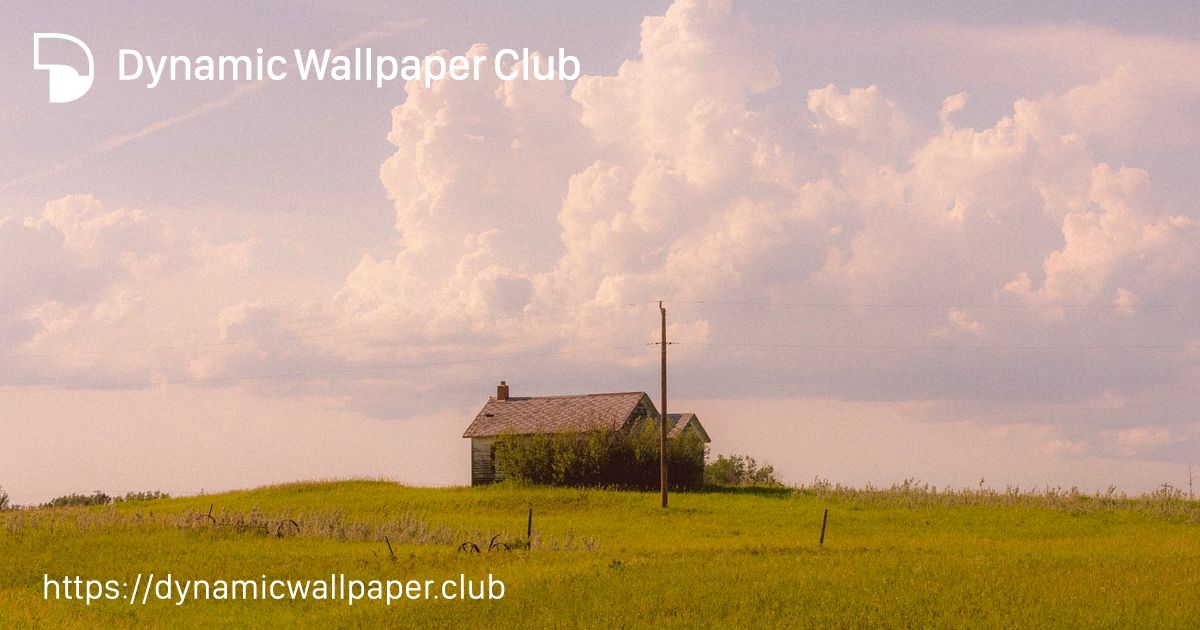 spring - Dynamic Wallpaper Club