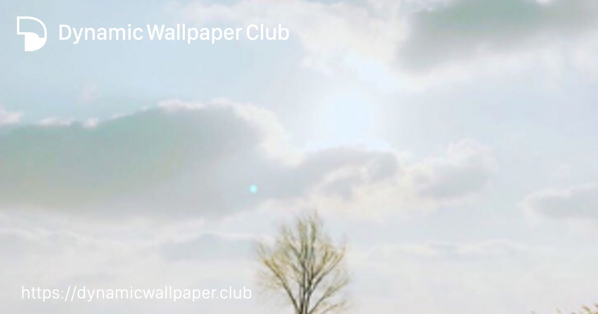 spring day - Dynamic Wallpaper Club