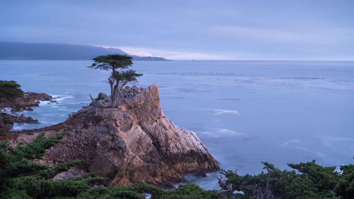 macOS Monterey - Dynamic Wallpaper Club