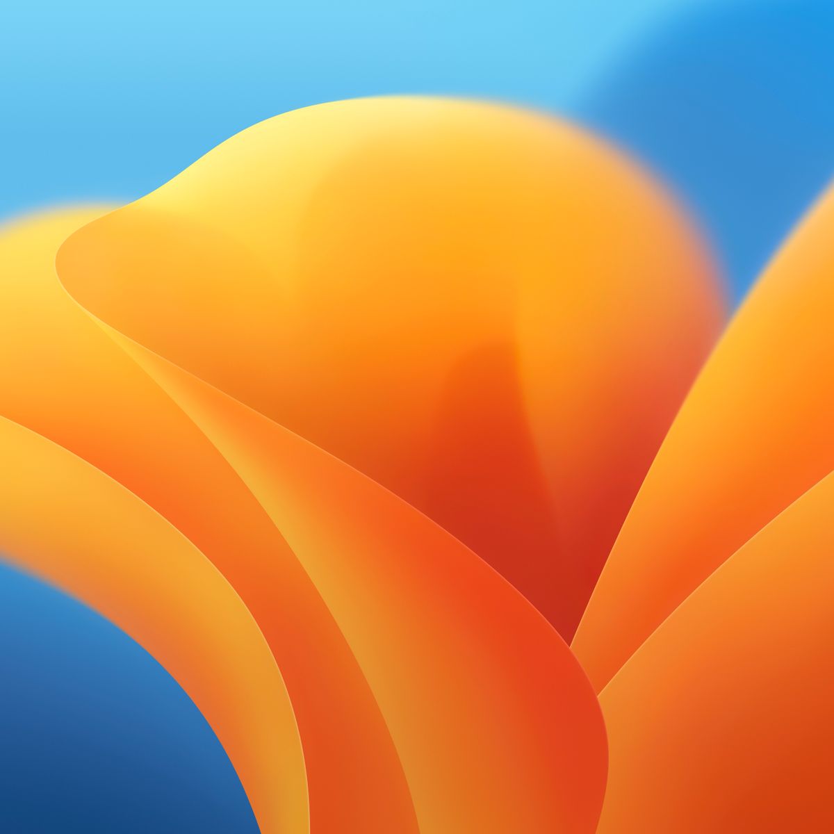 Mac OS Ventura Dynamic Wallpaper Club
