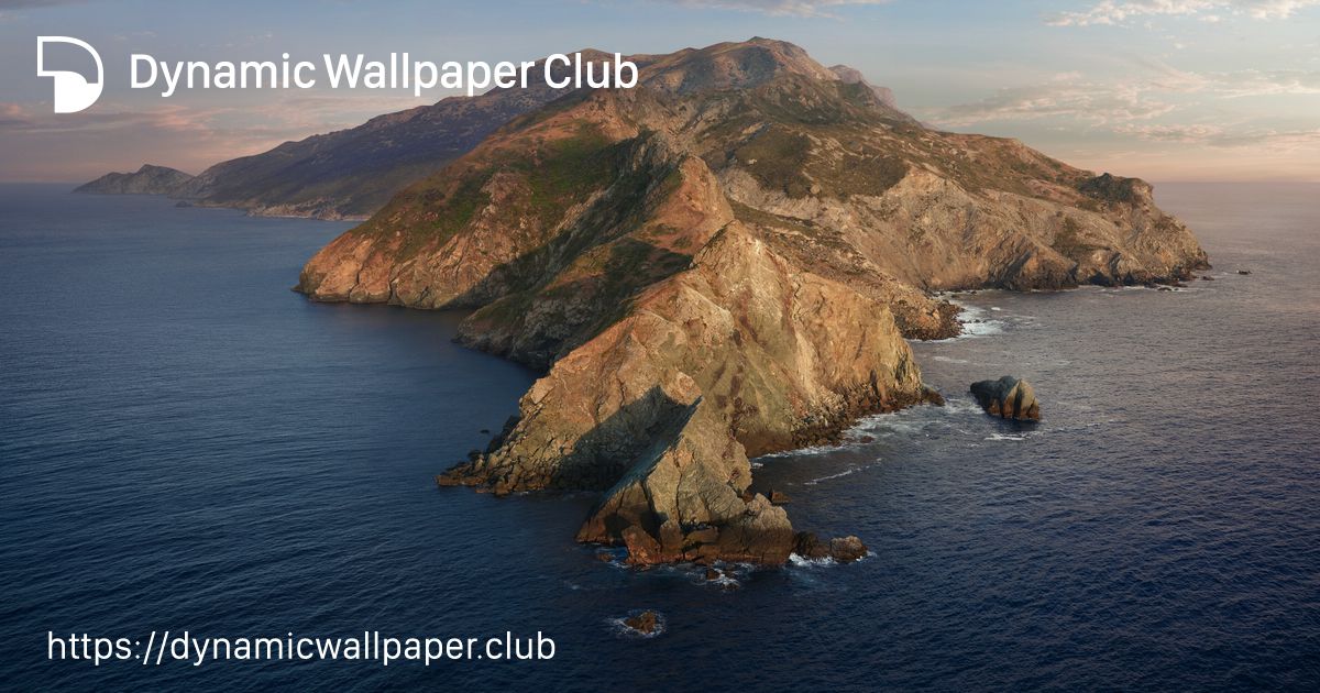 Catilina ALT 2 - Dynamic Wallpaper Club