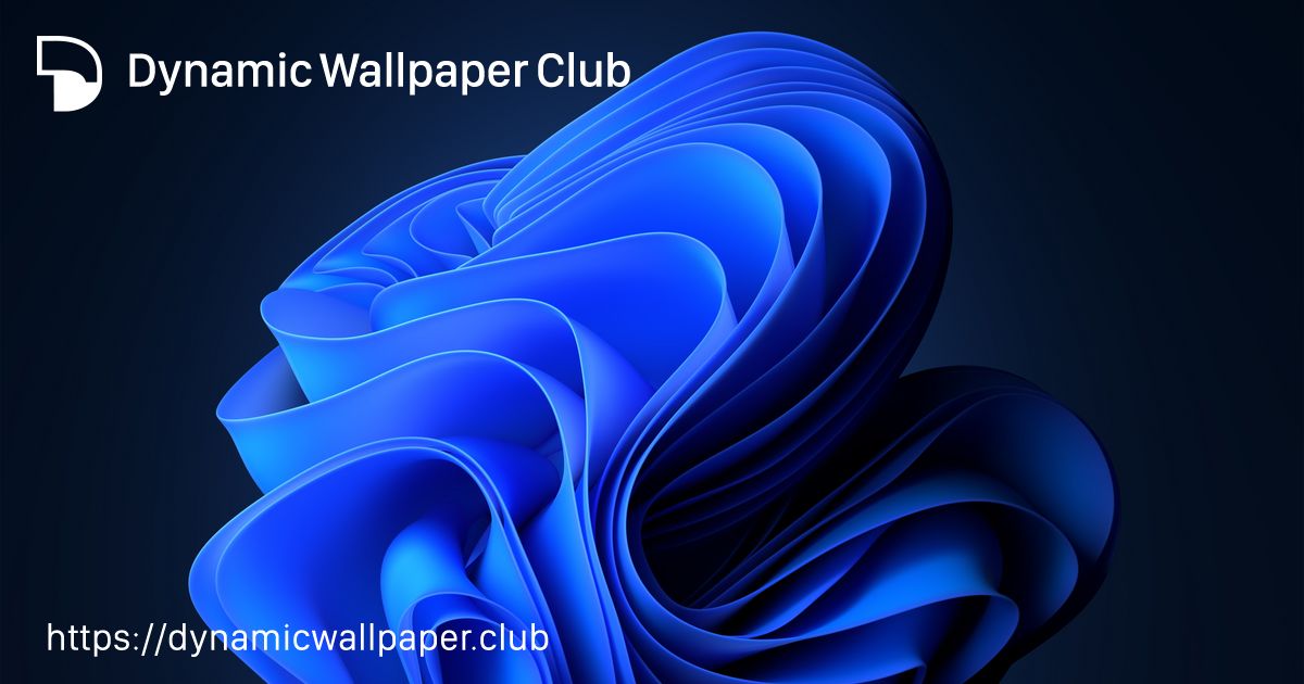 windows11 - Dynamic Wallpaper Club