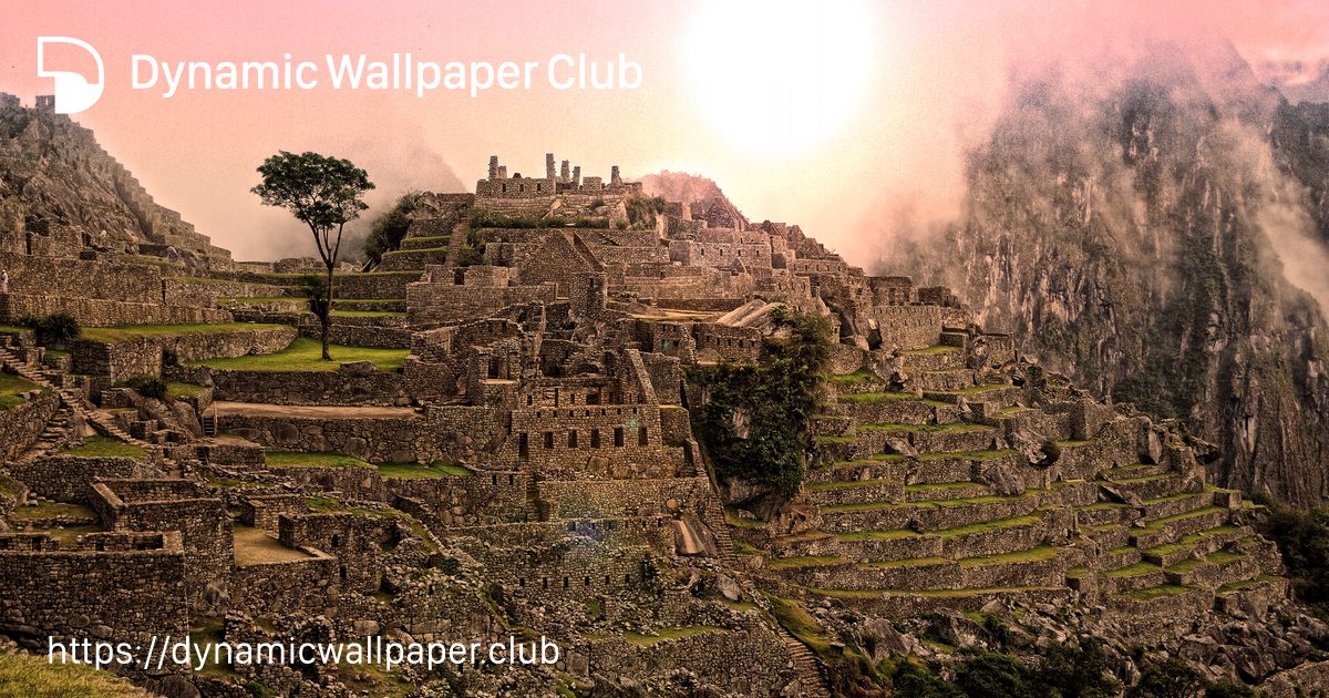 JJJ - Dynamic Wallpaper Club