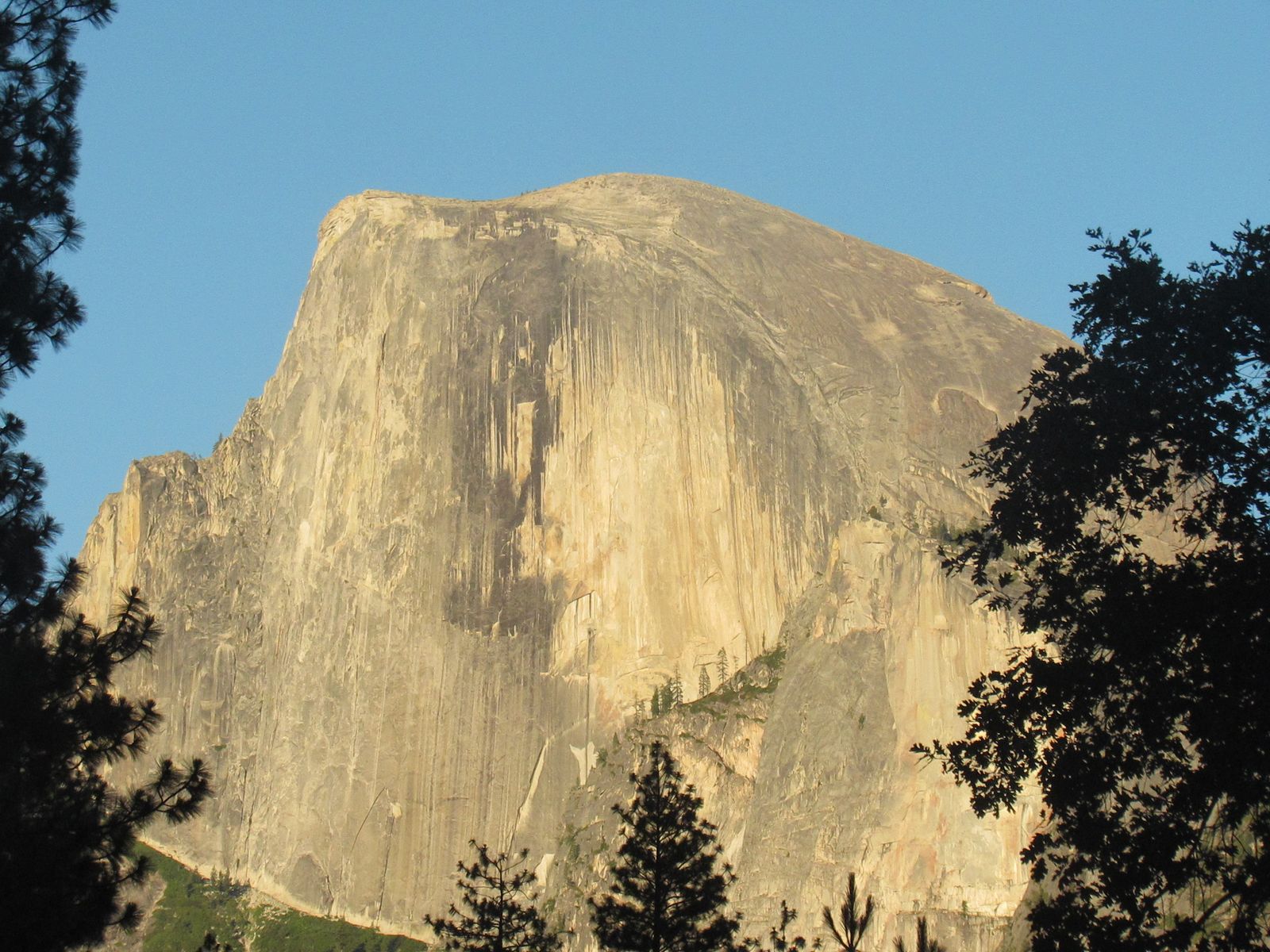 Dynamic Wallpaper Gallery Dynamic Wallpaper Club